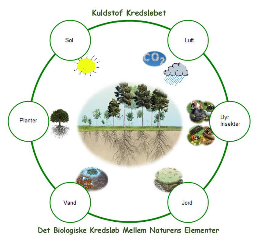 Permakultur kredsløbet